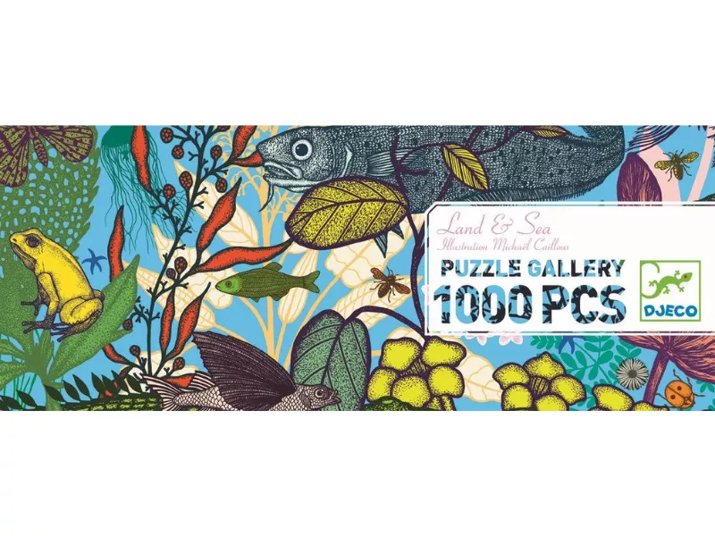 Colorful illustration of land and sea with various animals and plants