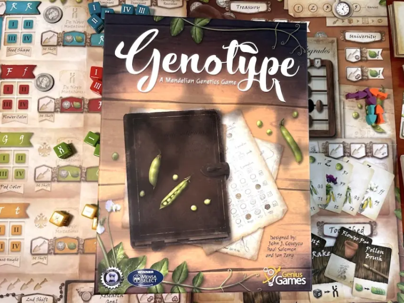Genotype board game box with peas and game components displayed